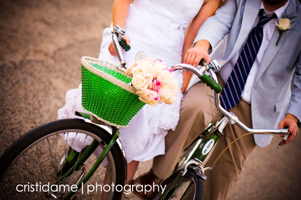 Looking through the lens of Cristi Dame.
