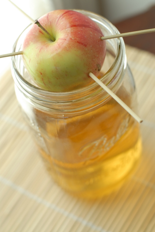 AppleInfused Vodka How to Make Your Own Boulder Locavore®
