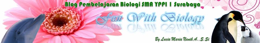 biology in lucia`s site