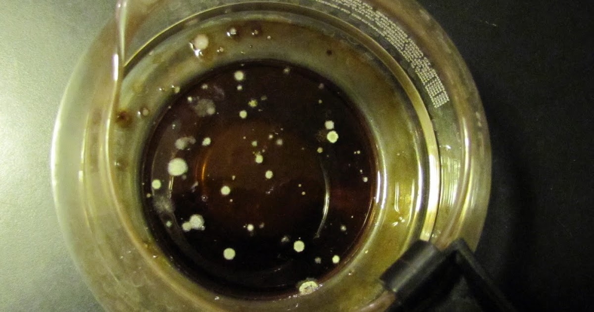 Smells Like Food in Here Will Brewed Coffee get Moldy?