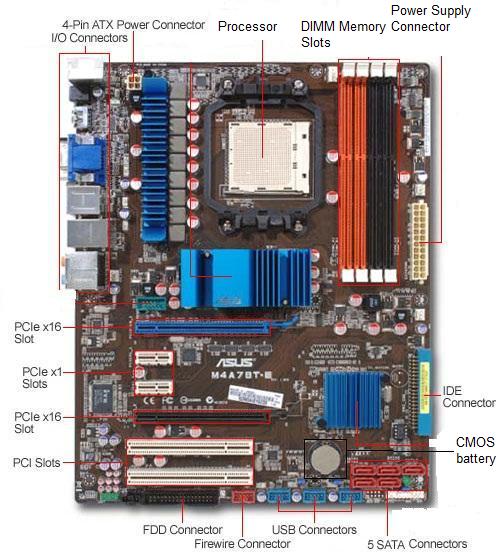 Hardware/Software Support: 5-1: Examining the Motherboard in Detail