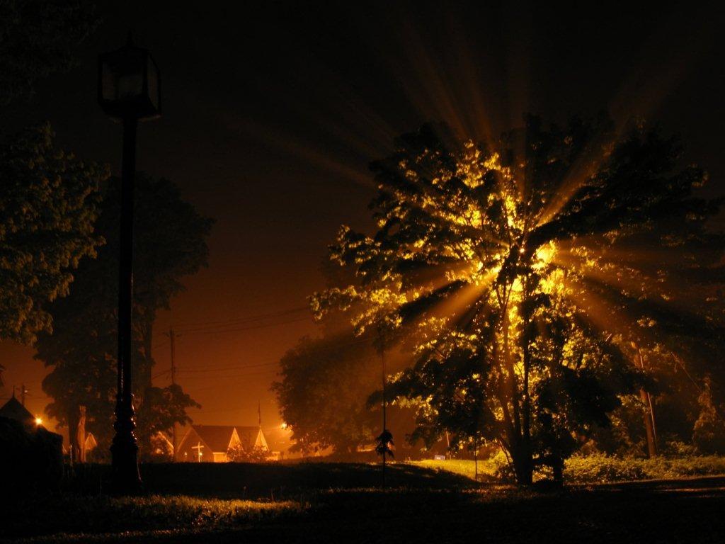 [048+streetlamp+and+tree+at+night-1_filtered.jpg]