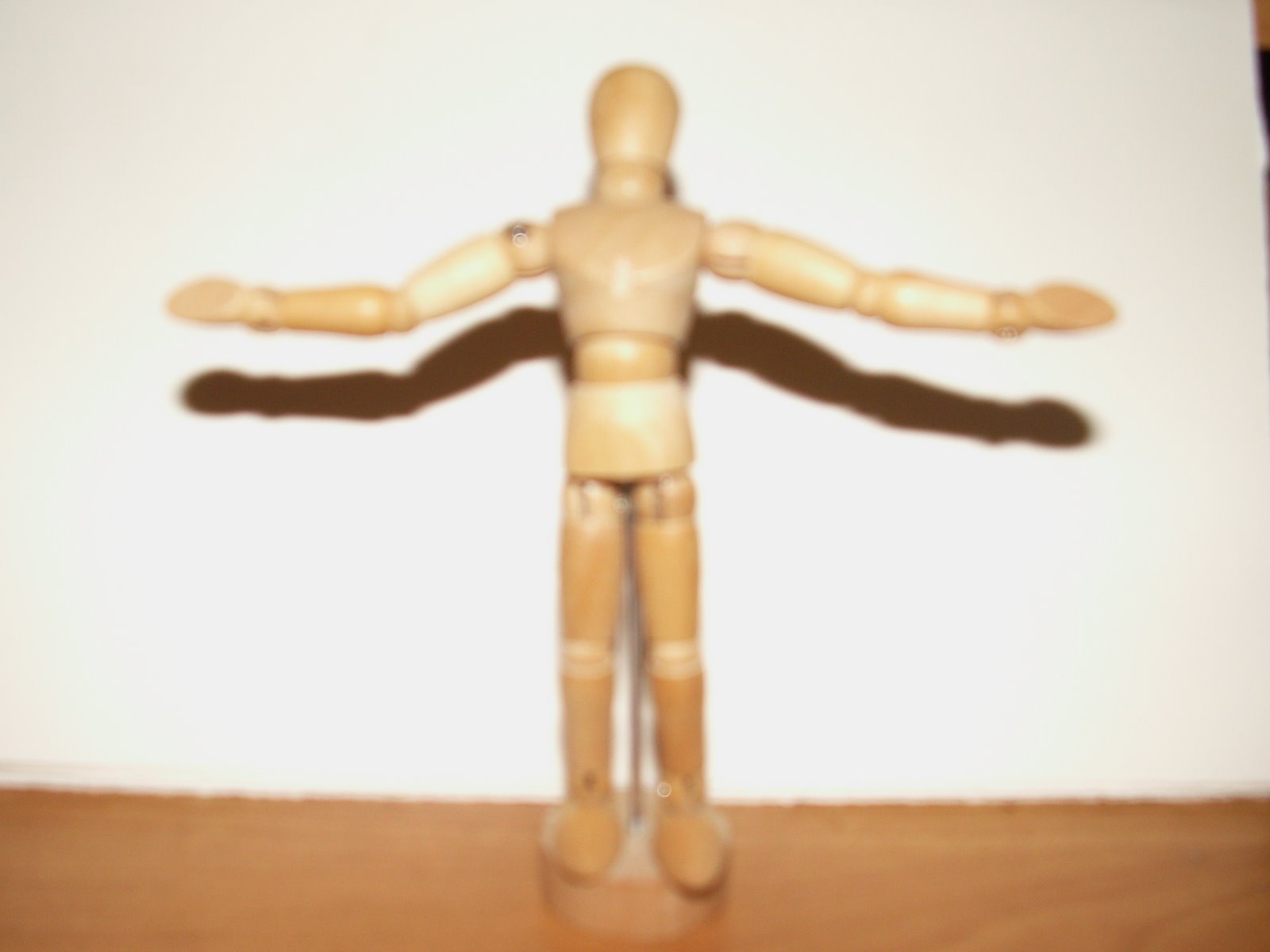 [PICT0001.JPG]
