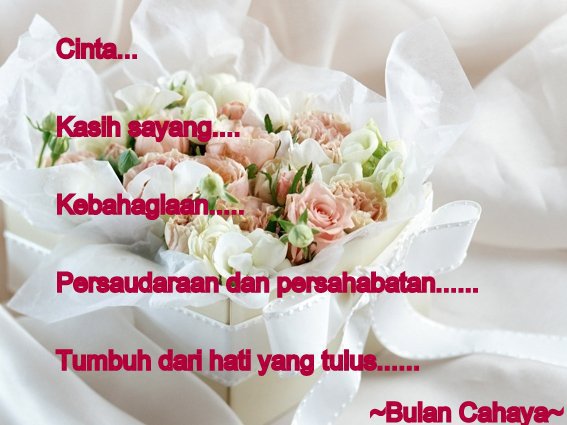 Hanya Cinta Yang Tulus Yang Dapat Meresapi Jiwa dan Perasaan | My Sweet