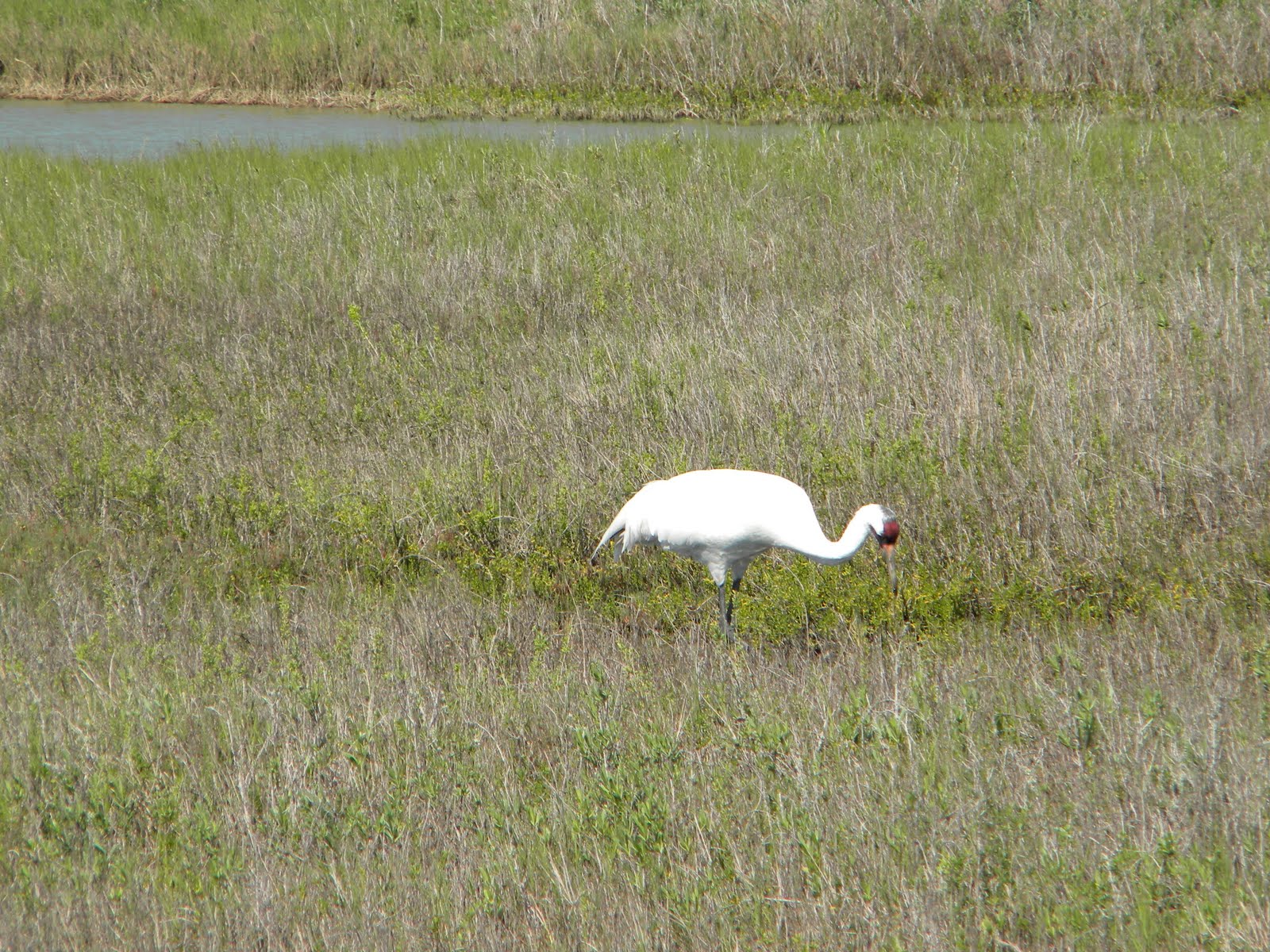 [DSCN0490.JPG]