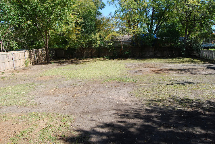 Back yard After Removing Trees