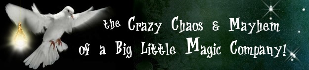 The Crazy Chaos & Mayhem of a Magic Company