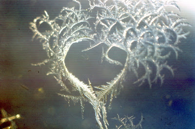 hearts and dragons