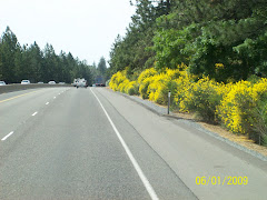 Driving down to Sacramento