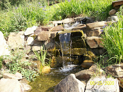 A water fall in Botanical Gardens