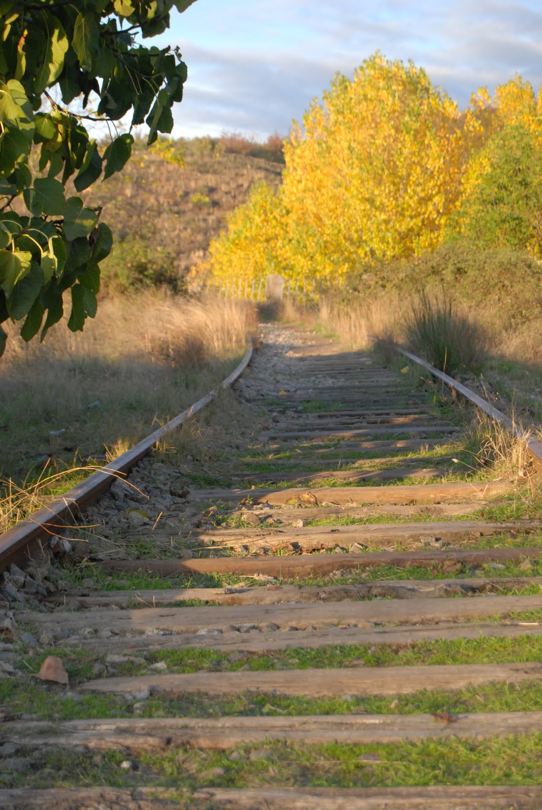 [HERVAS08+(131).JPG]