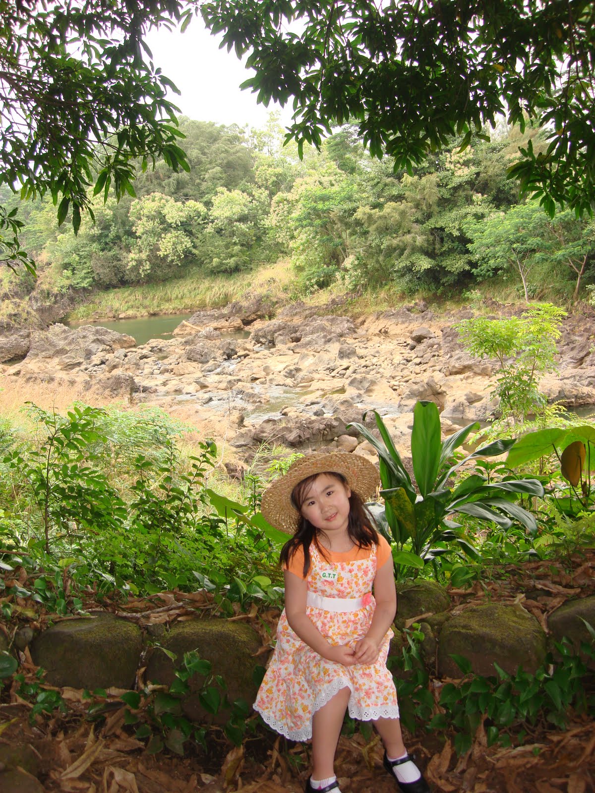 [DSC03040.JPG]