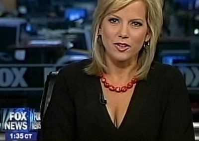 Shannon+Bream+Cleavage http://livingstingy.blogspot.com/2012/01/stripper-pole-news.html