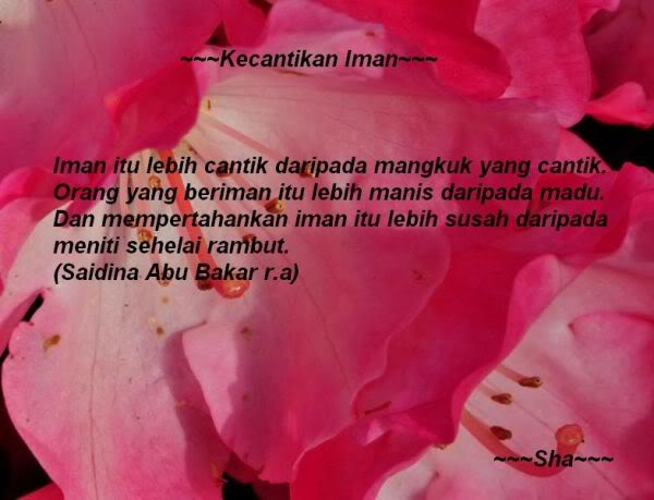 Demi Sebuah Kehidupan Hadith Al Ifk Fitnah Terhadap Saidatina