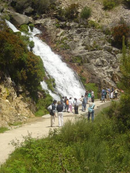 [clip_image002.jpg]