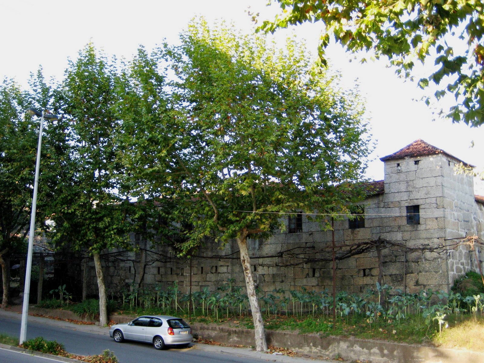 [IMG_4710.JPG]