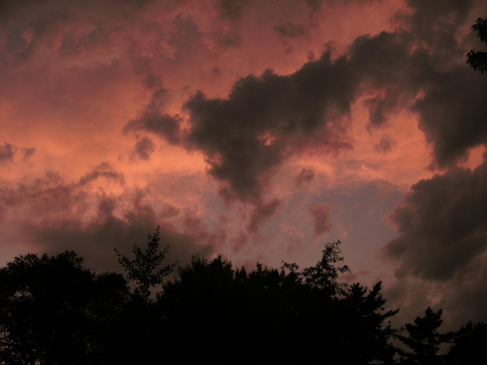 [dusk8.JPG]