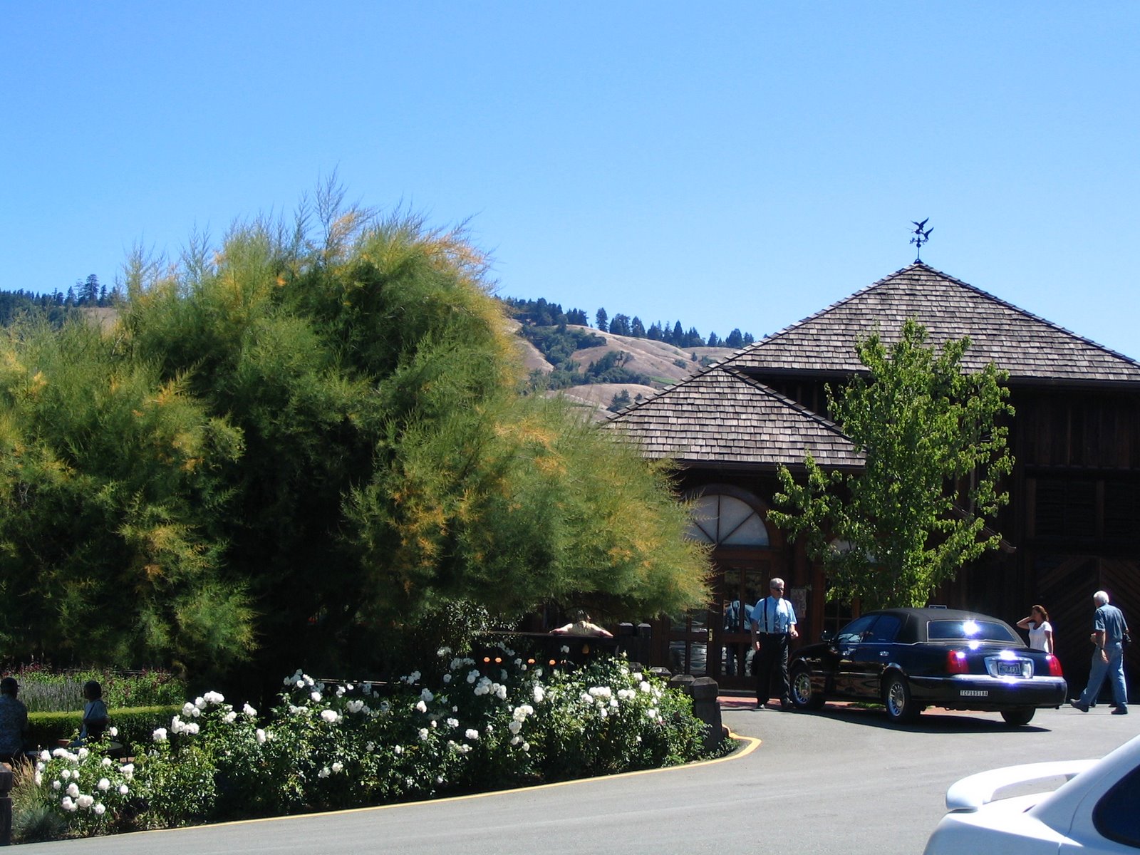 [AugustWine+009.jpg]