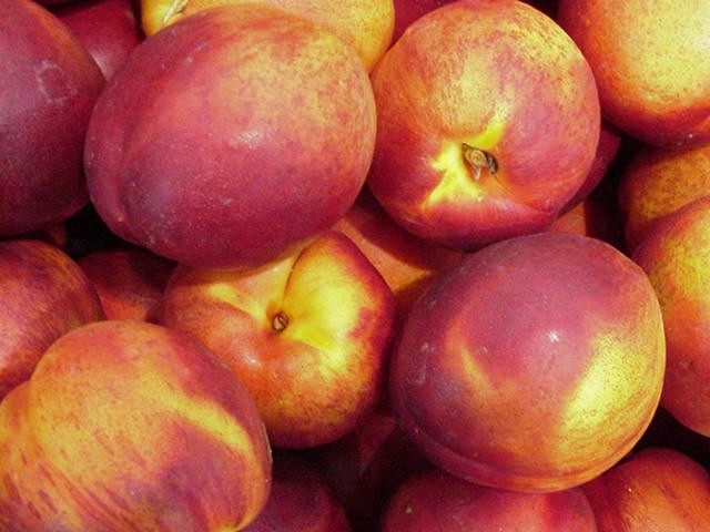 [nectarine2.jpg]