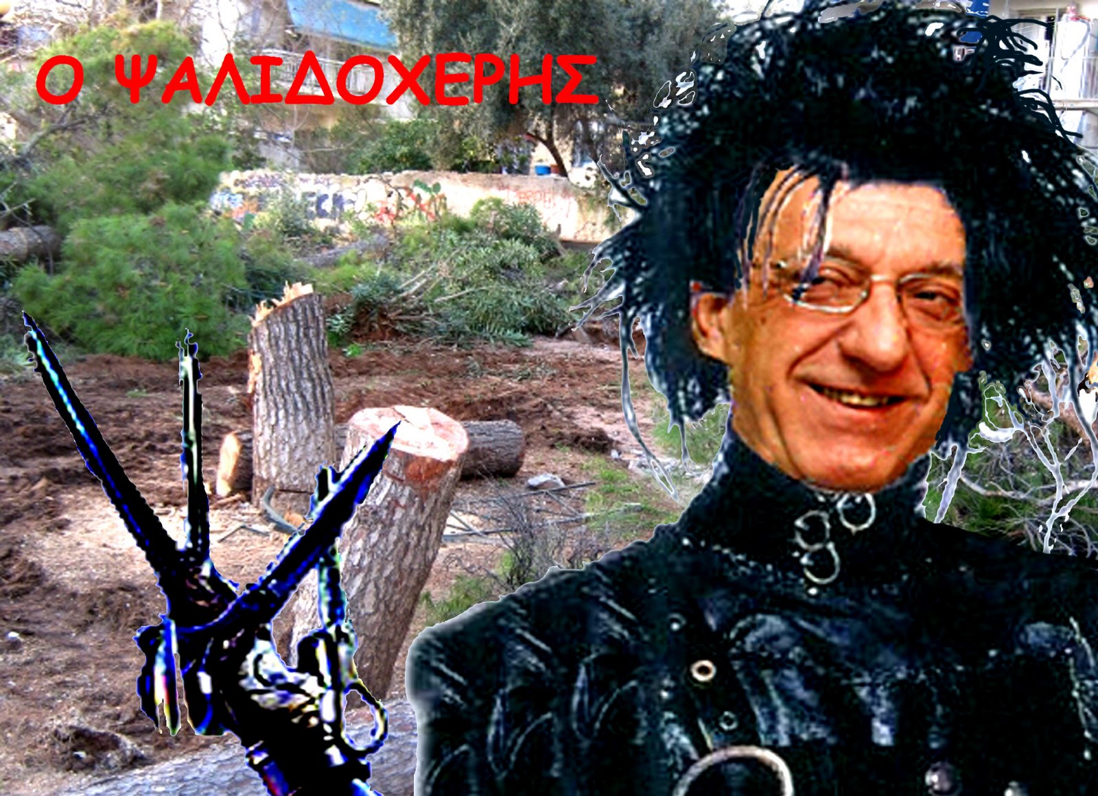 [psalidoxeris.jpg]