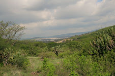 PEÑA COLORADA