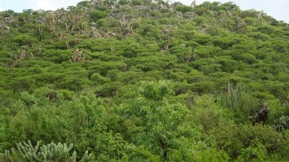 PEÑA COLORADA: RESERVA ECOLOGICA