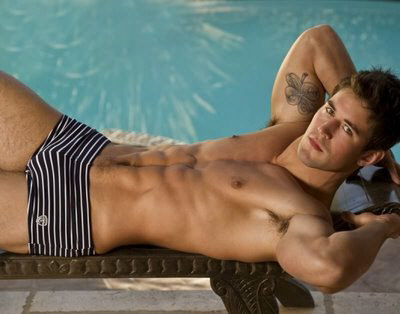 GATO LINDO GOSTOSO FOTO gato lindo gostoso foto: