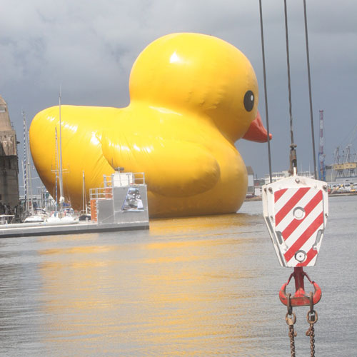 Canard de Bain by Florentijn Hofman