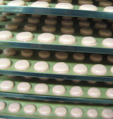 macarons resting
