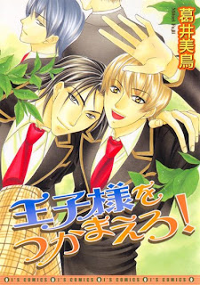 Capture the Prince Capture the Prince
