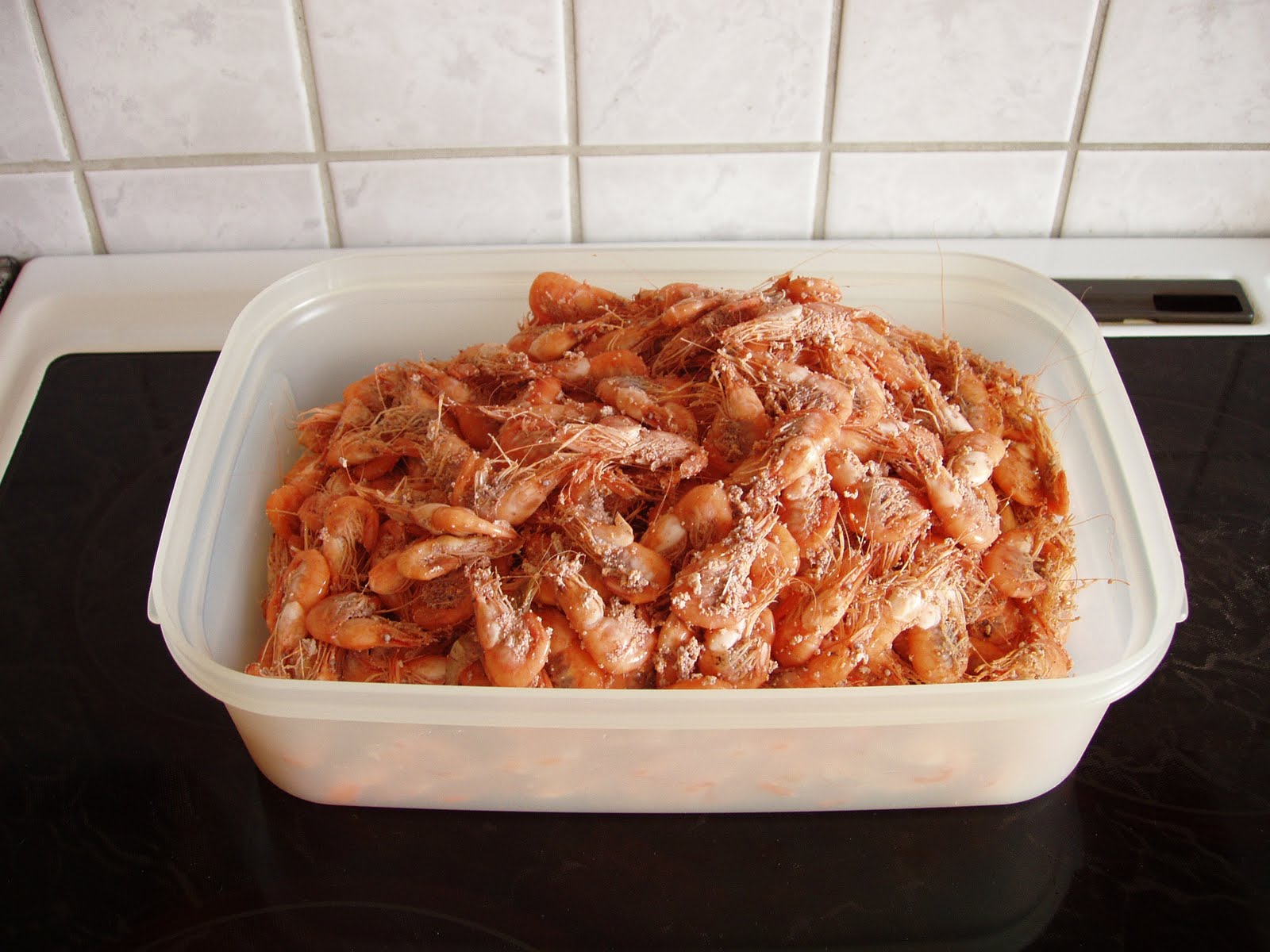 pigen og pomfritten dogging i det fri pigen og pomfritten dogging i det fri
