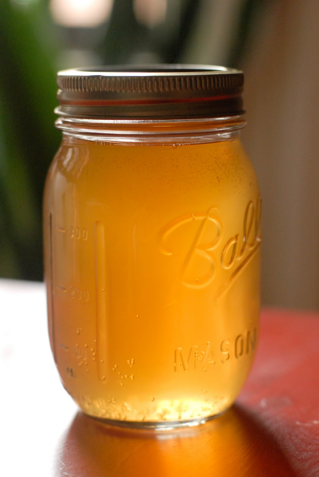 Mint Tea & The Making of Kombucha knitknitknits