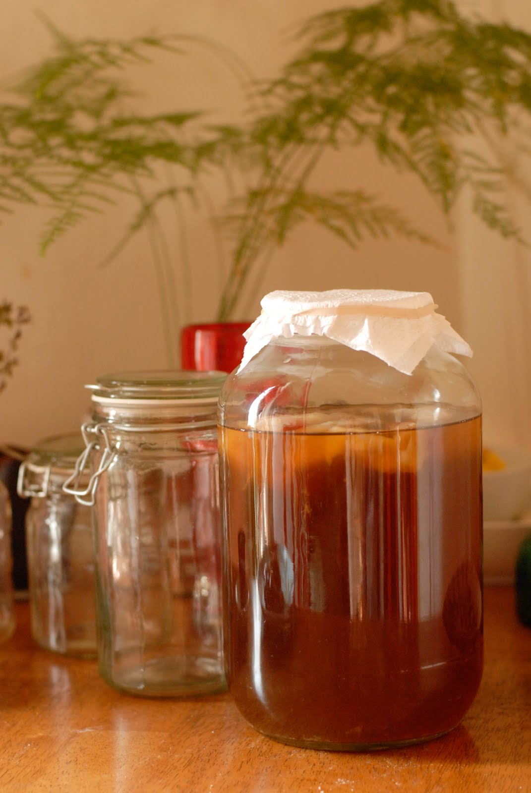 Mint Tea & The Making of Kombucha knitknitknits