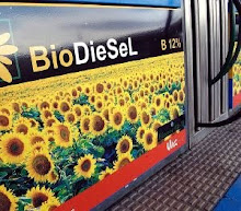 Reposta Biodiesel en Almeria