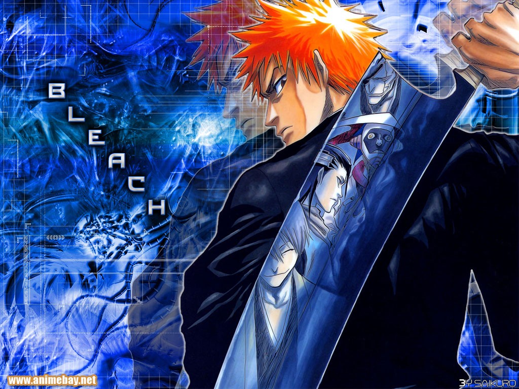 http://2.bp.blogspot.com/_HrgsAJ6qL7U/TU1-C0uxOLI/AAAAAAAAACg/CI8MT-cM95E/s1600/bleach_1_1024.jpg