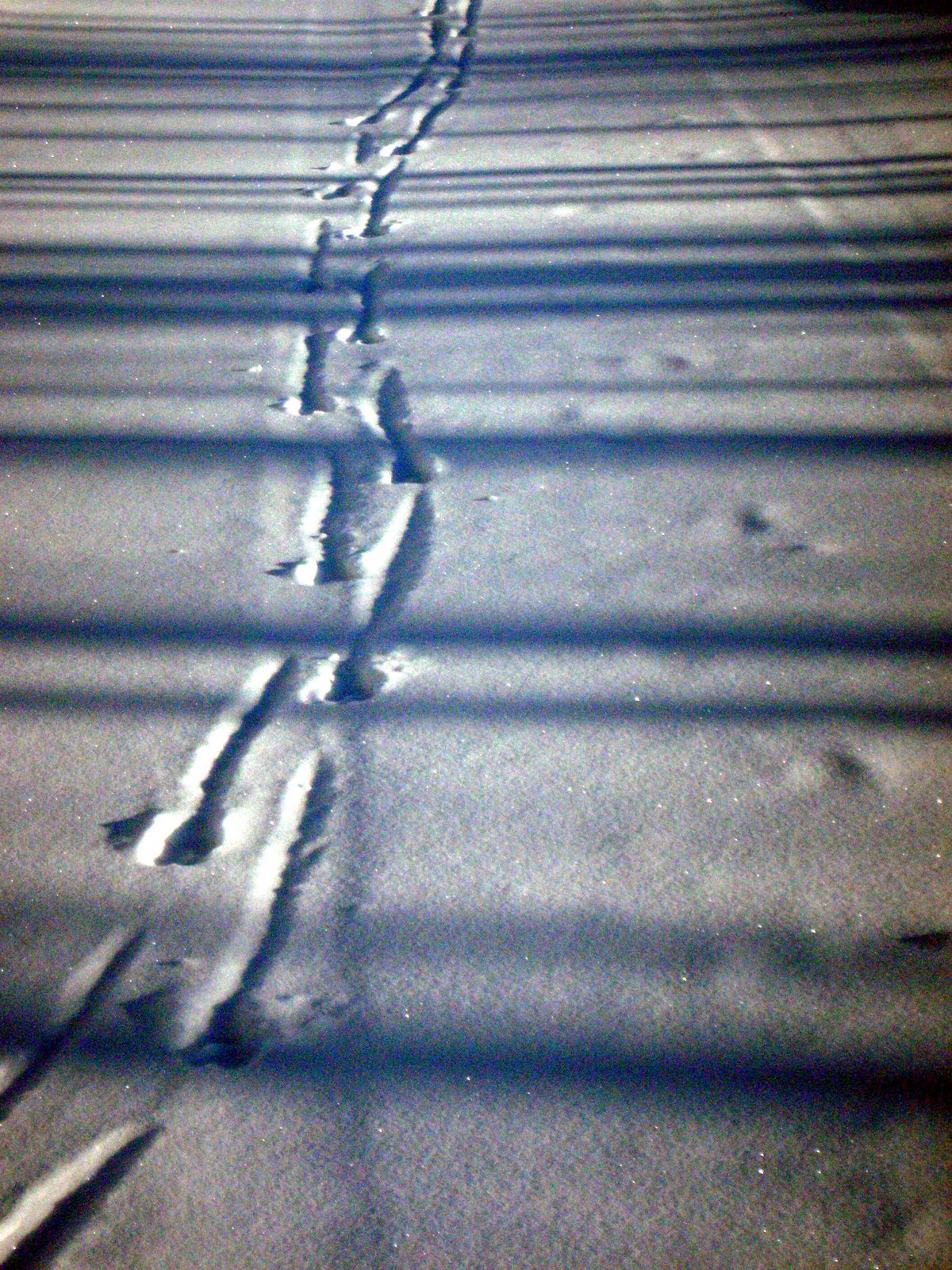 [CAN_TracksShadowPattern.JPG]