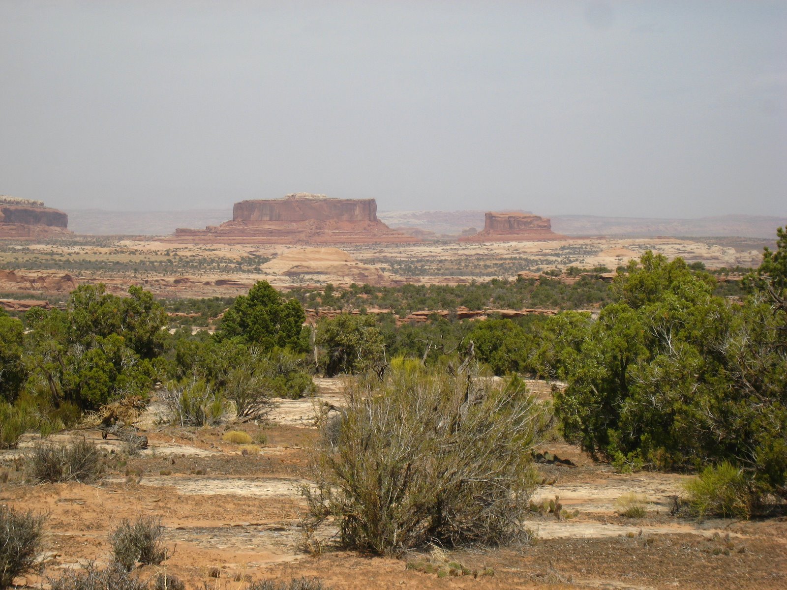 [IMG_6429.JPG]