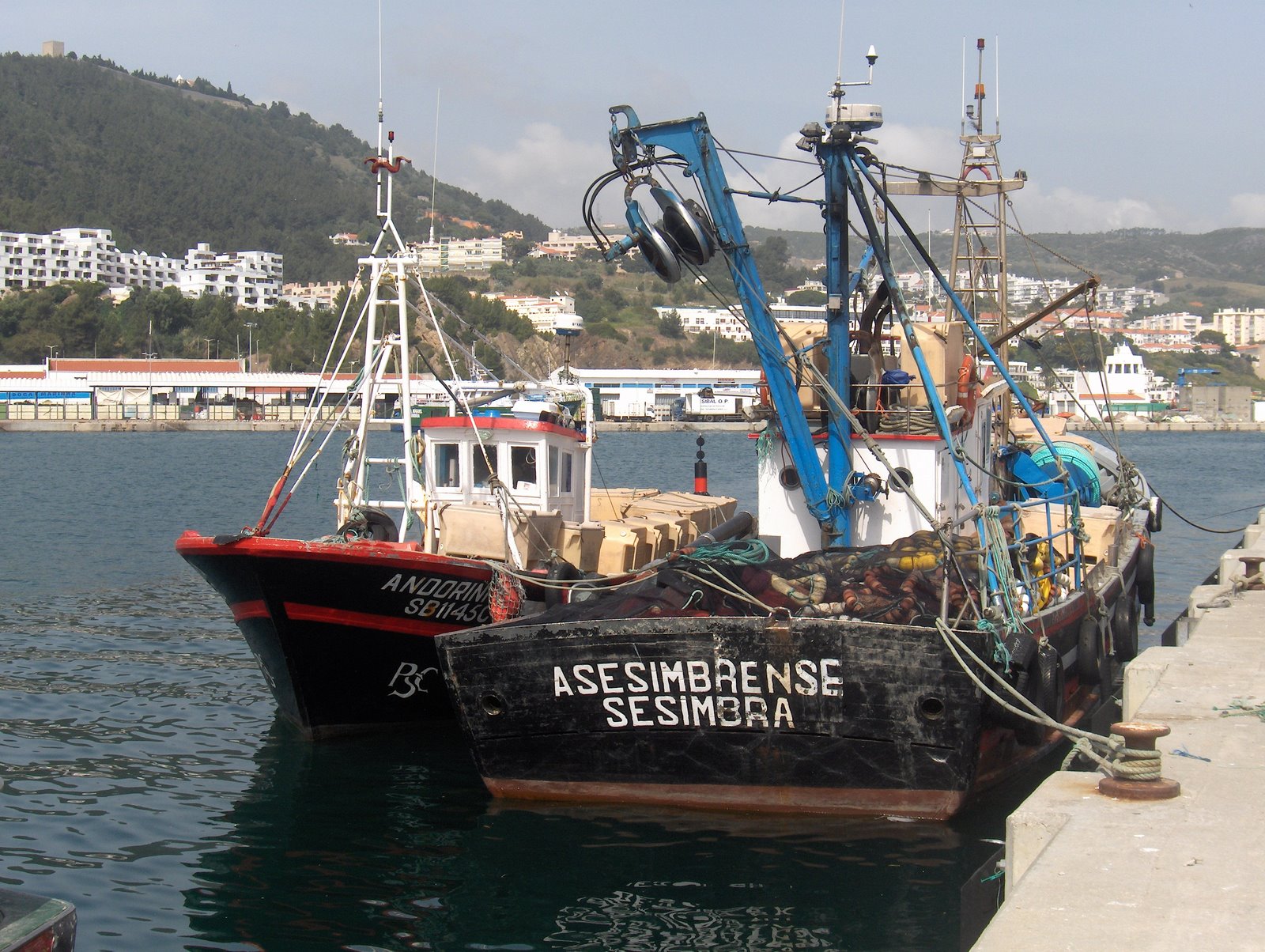 [A+SESIMBRENSE+e+ANDORINHA.JPG]