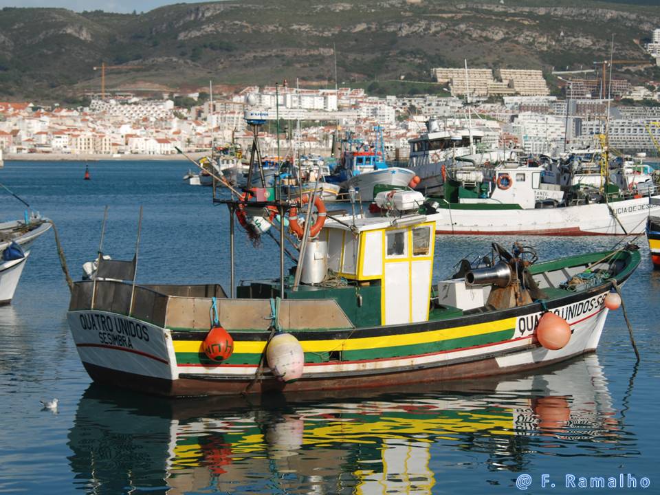 [QUATRO+UNIDOS_BLOG.jpg]