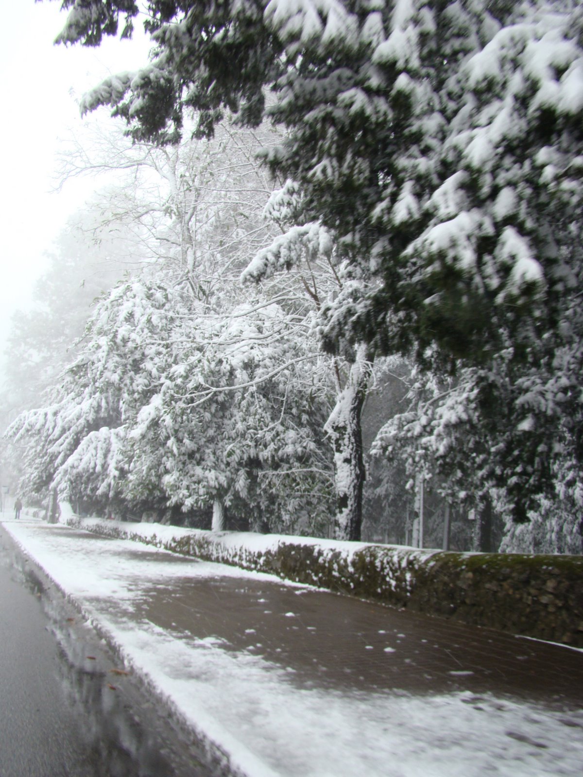 [DSC01831.JPG]