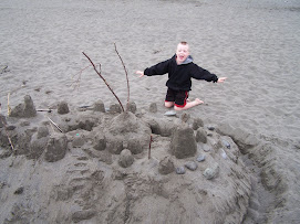 Our massive sand castle