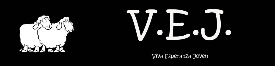 Ministerio de Jovenes Viva Esperanza