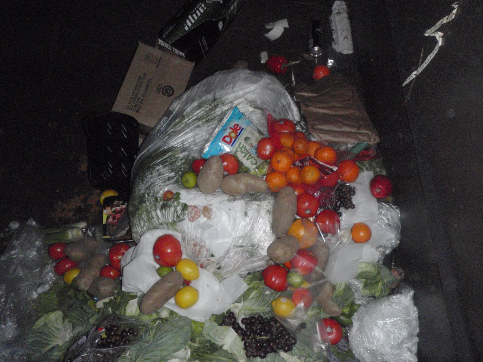 [Tough+Pictures+753.JPG]