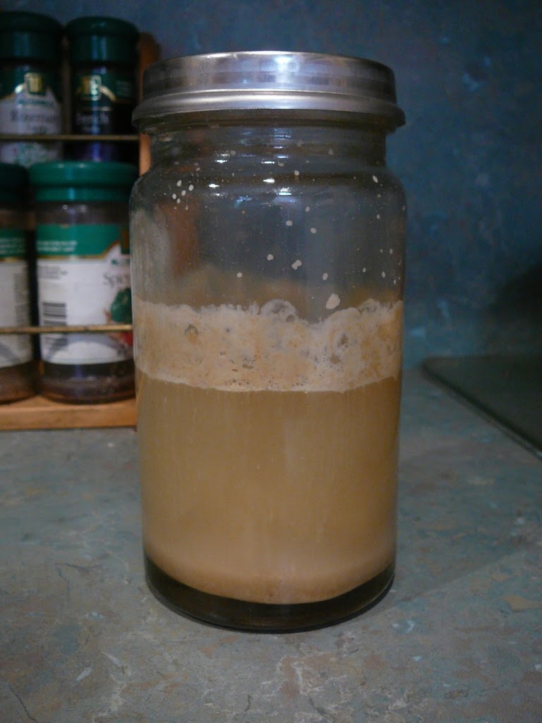 The Preserving Patch Ginger Beer