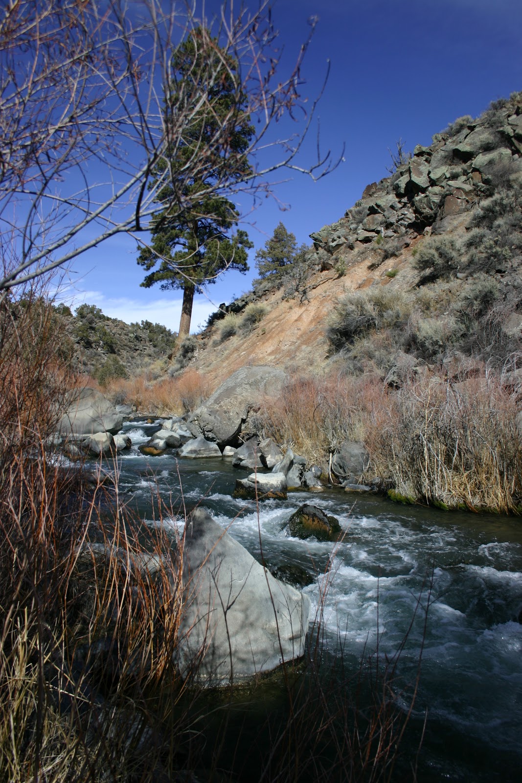 Fishing Our Way Across Colorado 50 Days 2 Writers Fishing the Red