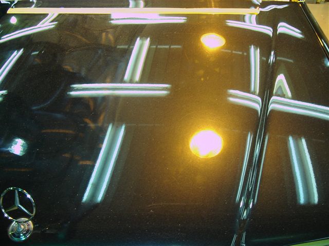 [DSC01377.JPG]