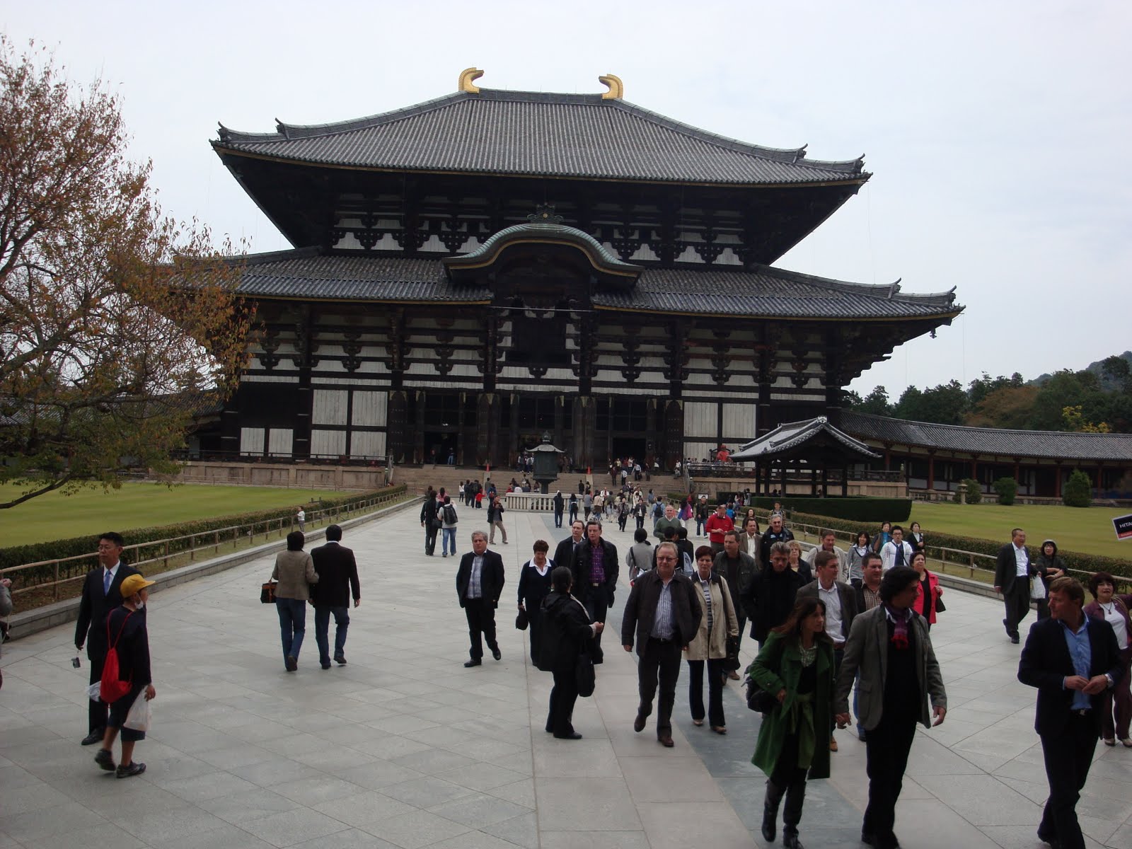 [DSC02241.JPG]