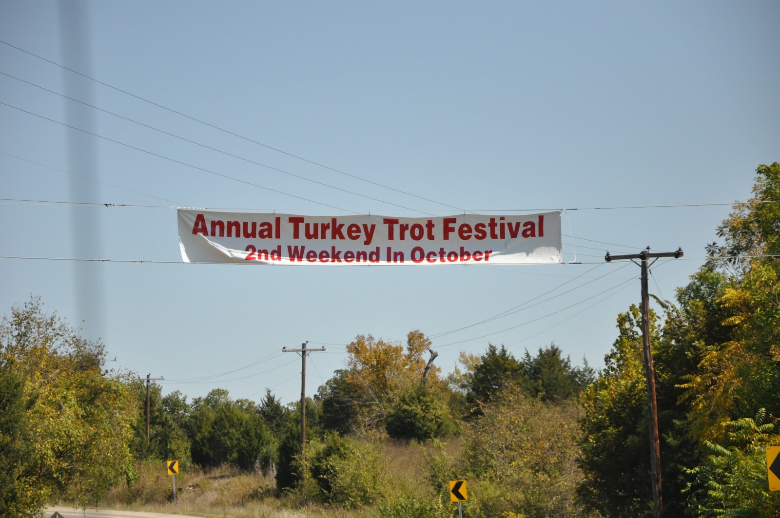 When I Take Over My World Yellville Turkey Trot Festival