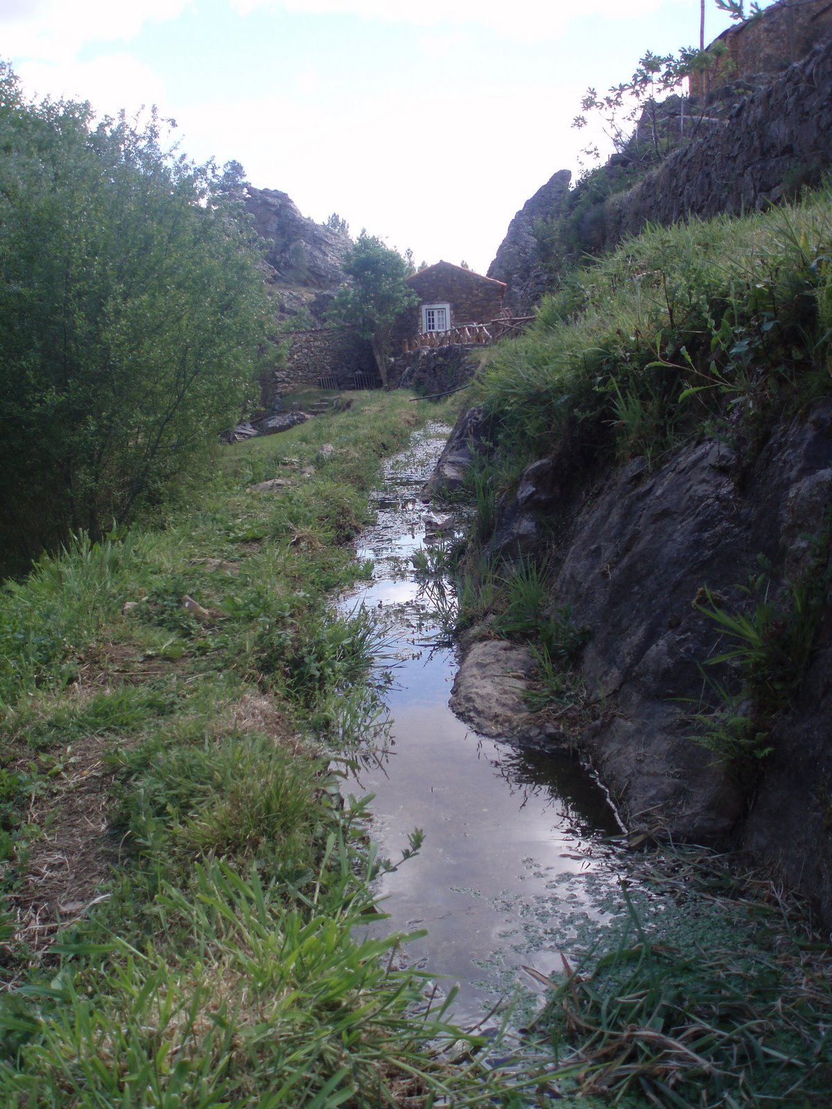 [P1010073.JPG]