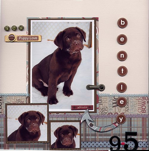 [Bentley+Layout.JPG]